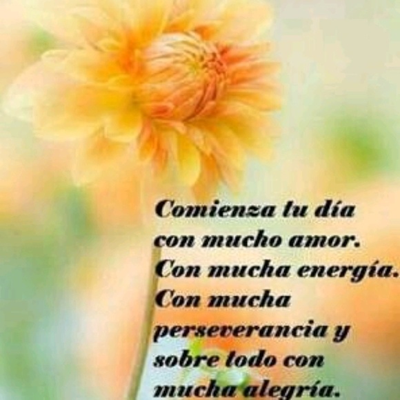 yazmintorres821